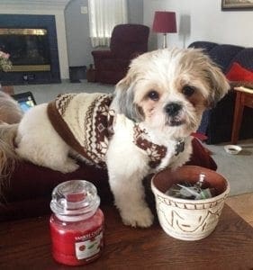 Bailey